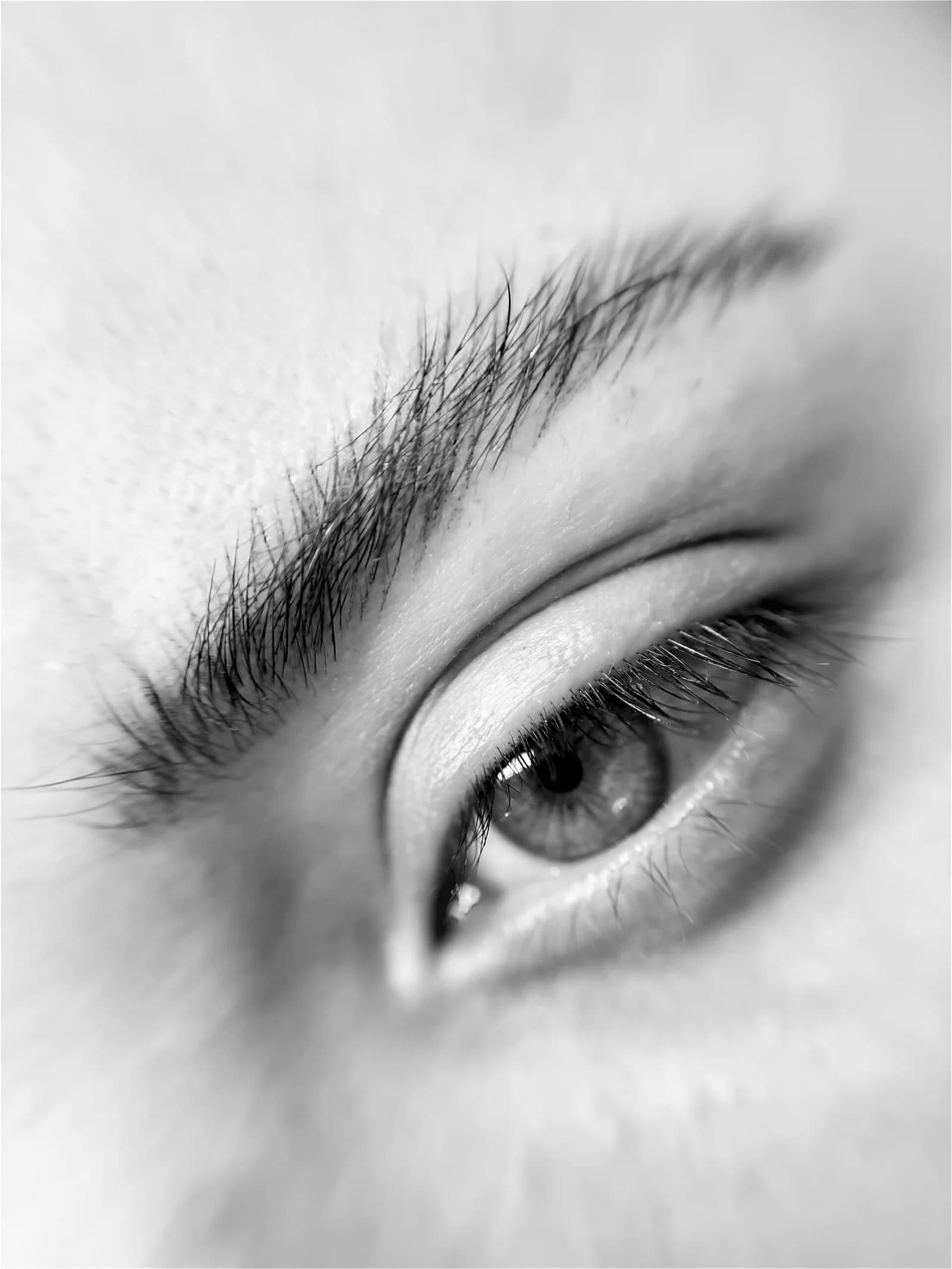 Estilismo de Cejas & Pestañas 3